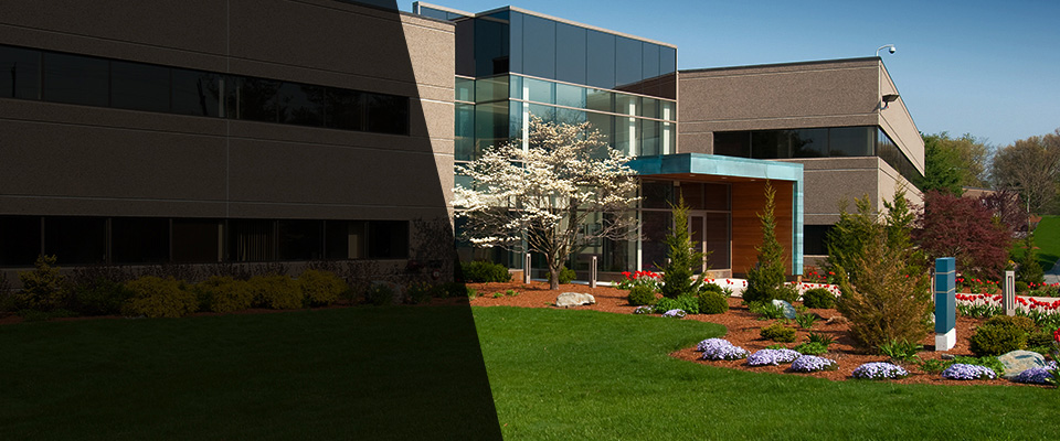 Pismo Beach Landscapers