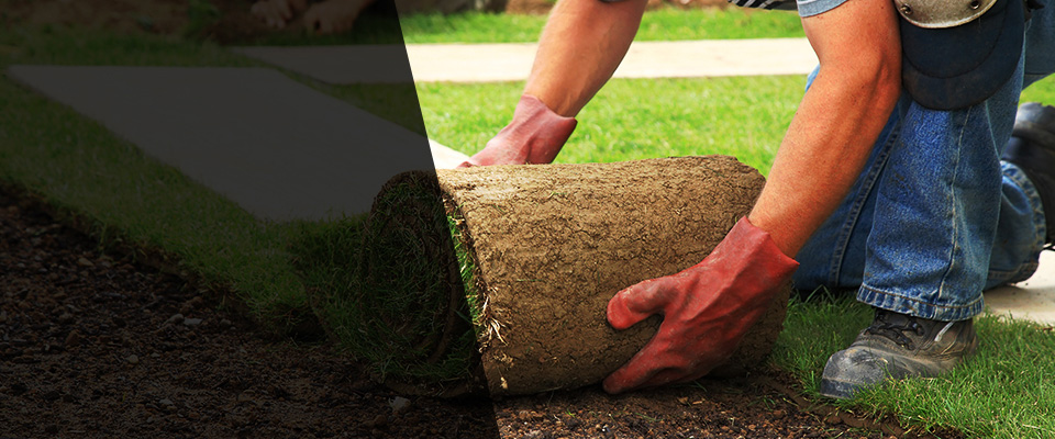 Pismo Beach Landscapers